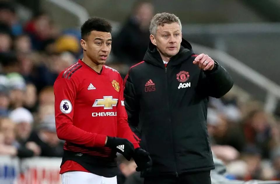 在欣赏美景 在欣赏美景